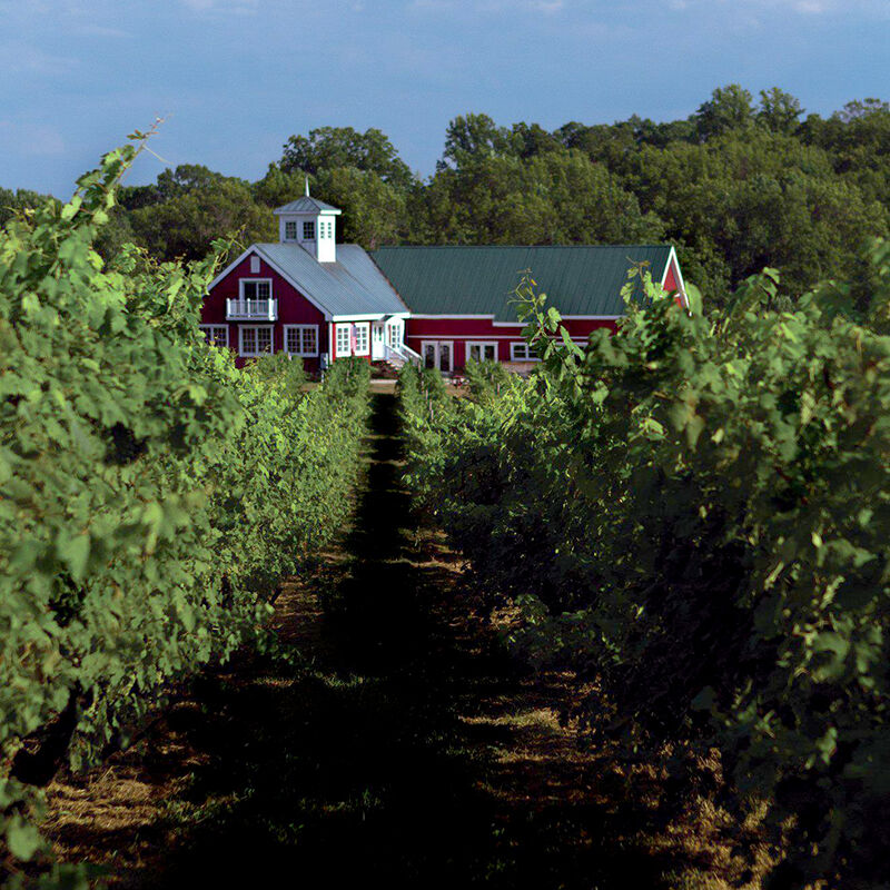WEB PC winery